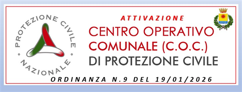 Ordinanza N. 9 del  19/01/2026  -  Attivazione Centro Operativo Comunale  (COC) e chiusura Scuole per Allerta Meteo Arancione del 20/01/2026
